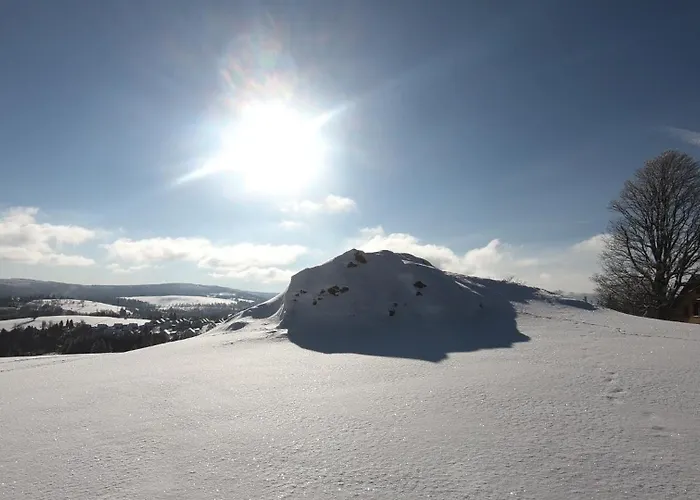 Apartment Am Barenstein